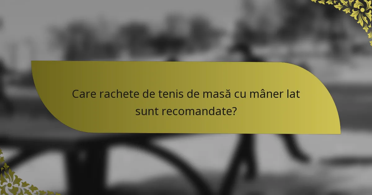 Care rachete de tenis de masă cu mâner lat sunt recomandate?